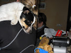 IMG_2948.JPG
