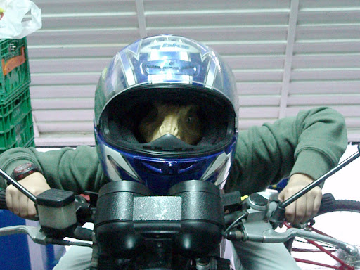 P3142010.JPG