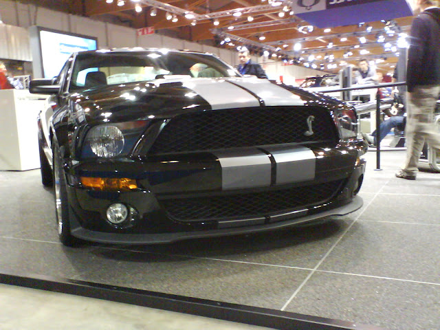 shelby%2001.jpg